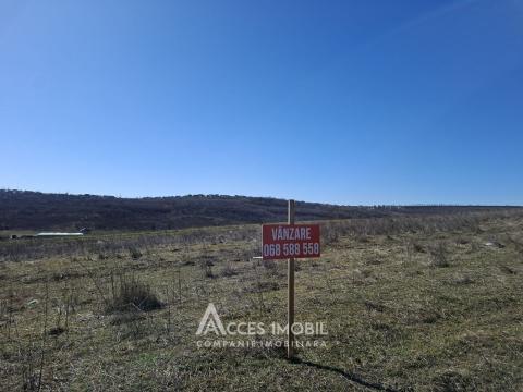 Земельный участок под строительство 7 сот! Тогатин, ул.Хайдучилор!: 2