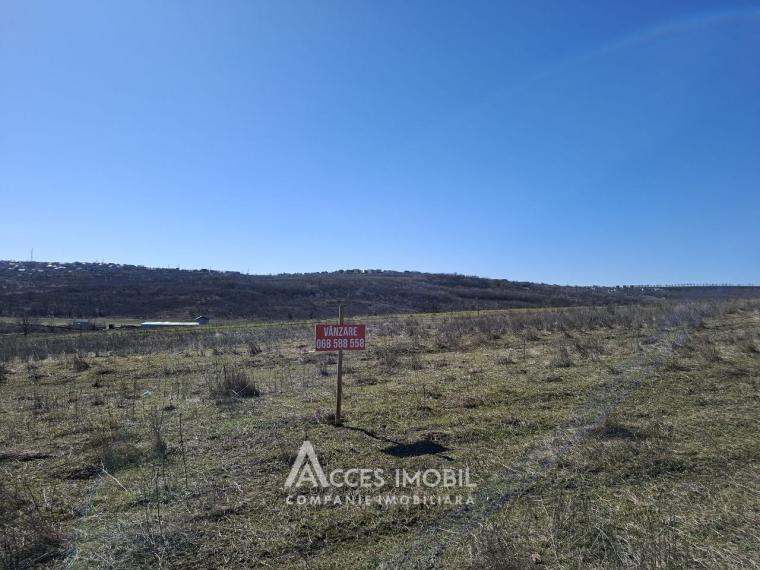 Teren pentru construcții 6 ari! Tohatin, str. Miorița!: 3