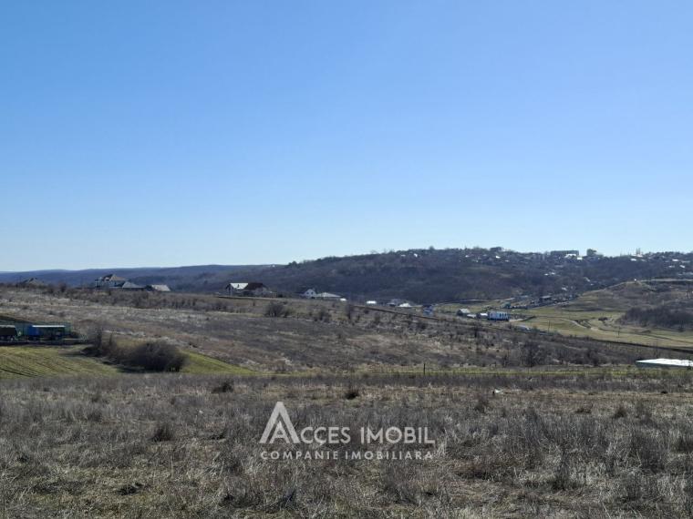 Teren pentru construcții 6 ari! Tohatin, str. Miorița!: 5