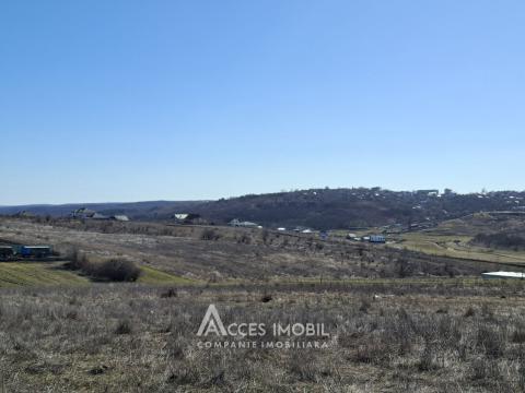 Teren pentru construcții 6 ari! Tohatin, str. Miorița!: 5