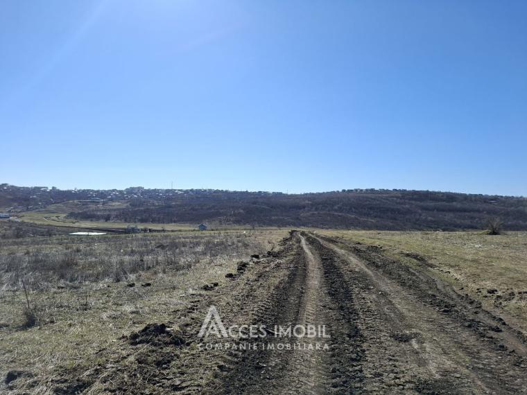 Teren pentru construcții 6 ari! Tohatin, str. Miorița!: 6