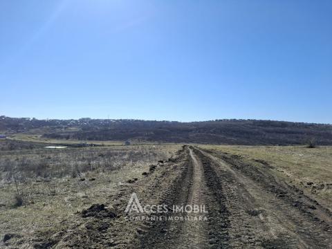 Teren pentru construcții 6 ari! Tohatin, str. Miorița!: 6