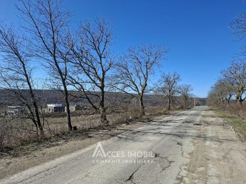 Teren pentru construcții 6 ari! Tohatin, str. Miorița!: 7