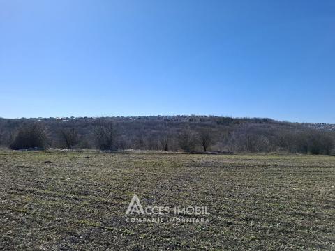 Teren Agricol 21 ari! Tohatin, M14!: 1