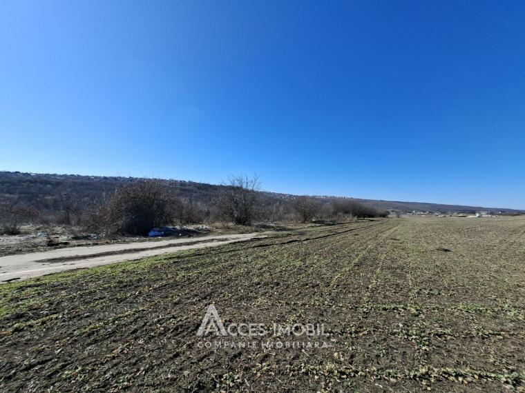 Teren Agricol 21 ari! Tohatin, M14!: 2