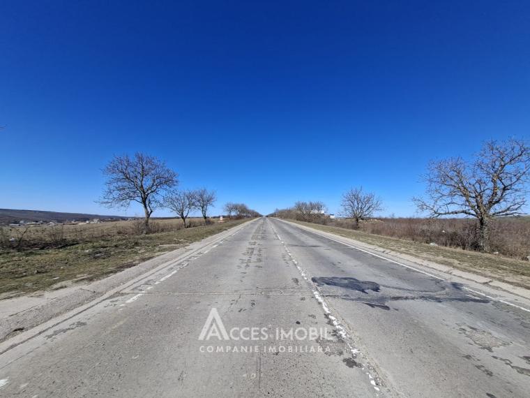 Teren Agricol 21 ari! Tohatin, M14!: 3