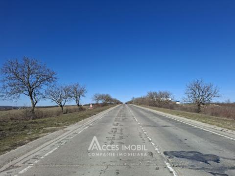 Teren Agricol 21 ari! Tohatin, M14!: 4