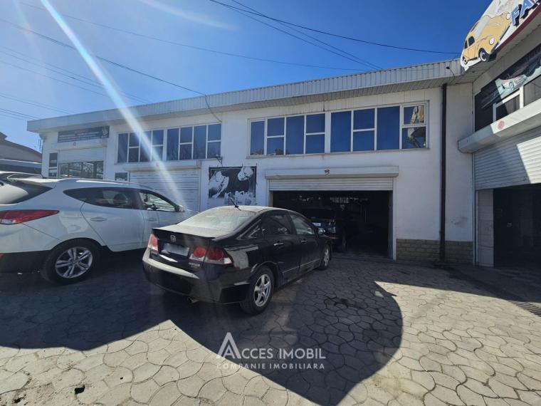 Spațiu Comercial 540m2! Buiucani, str. L. Deleanu! Autonomă!: 8