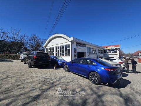 Spațiu Comercial 540m2! Buiucani, str. L. Deleanu! Autonomă!: 9