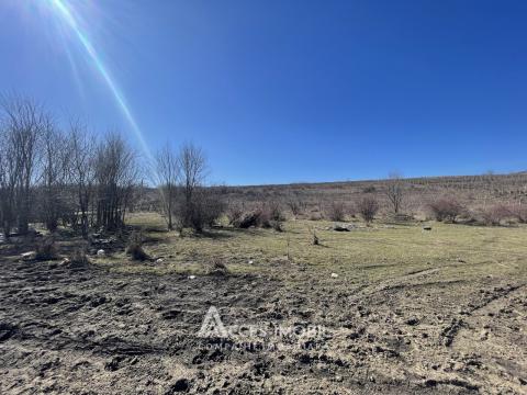 Terenuri de vânzare în Chișinău: Durlești, R6