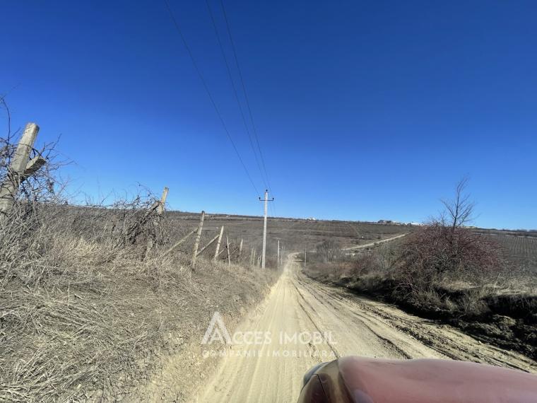 Teren agricol 23 ari! R6! Durlești!: 2