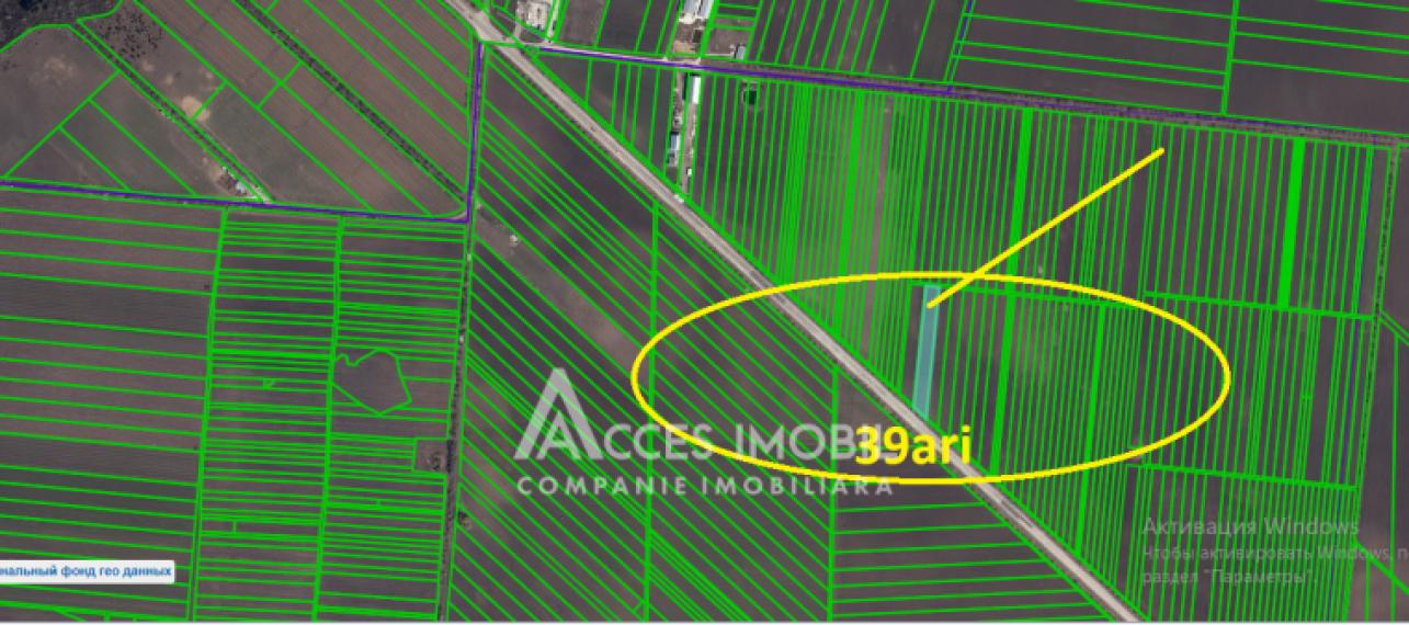 Teren agricol 39 ari! Tohatin, traseul M14!: 5