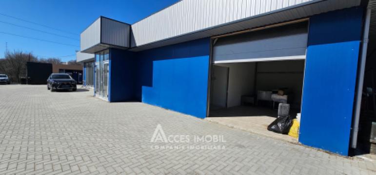 Chirie! Spațiu comercial 160m2, Ciocana, str. Vadul lui Vodă. Euroreparație!: 6