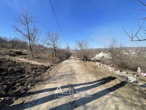 Lot de teren pomicol! Ialoveni, IP Mirositor, 6 ari!: 3