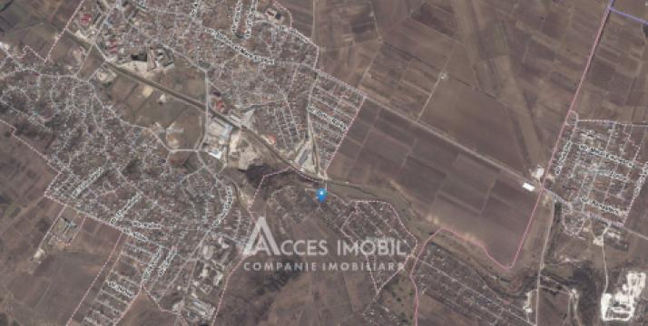 Lot de teren pomicol! Ialoveni, IP Mirositor, 6 ari!: 7