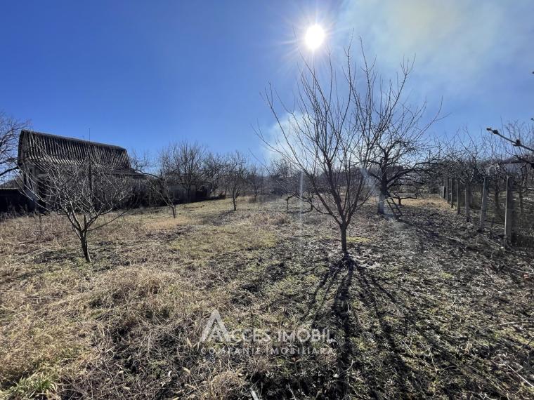 Lot de teren pomicol! Ialoveni, IP Livada - Vis, 6 ari!: 0