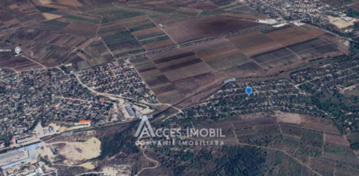 Lot de teren pomicol! Ialoveni, IP Livada - Vis, 6 ari!: 5