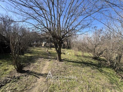 Teren pentru construcții 15 ari! Anenii Noi, sat. Chetrosu!: 3