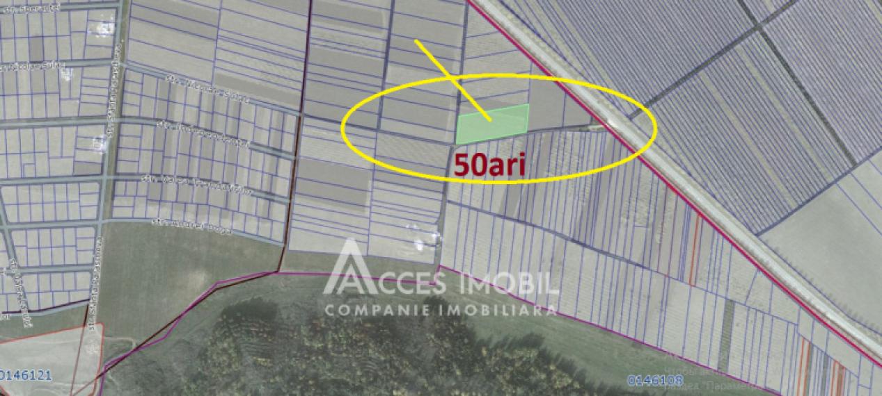 Teren agricol intravilan 50 ari! Tohatin, traseul M14!: 12