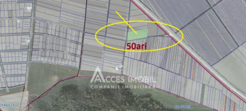 Teren agricol intravilan 50 ari! Tohatin, traseul M14!: 12