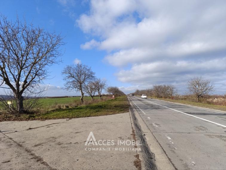 Teren agricol intravilan 50 ari! Tohatin, traseul M14!: 1