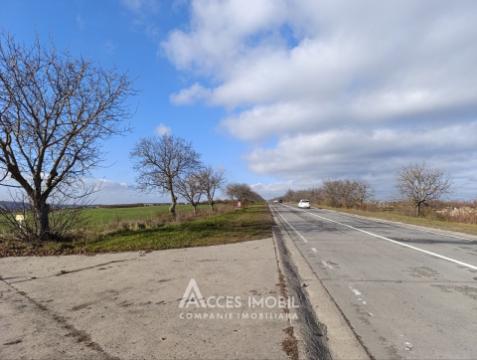 Teren agricol intravilan 50 ari! Tohatin, traseul M14!: 1