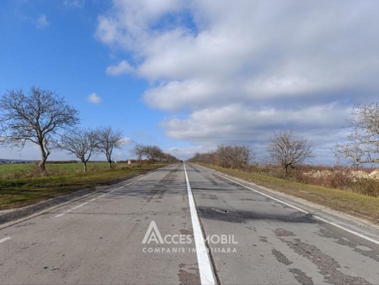 Teren agricol intravilan 50 ari! Tohatin, traseul M14!: 2