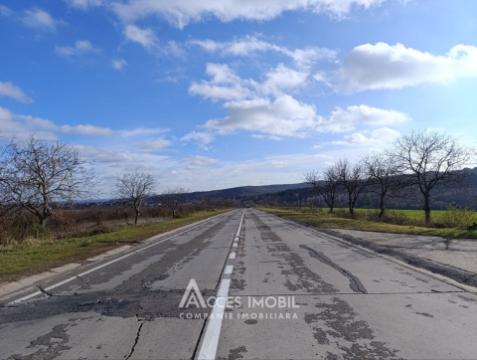 Teren agricol intravilan 50 ari! Tohatin, traseul M14!: 3