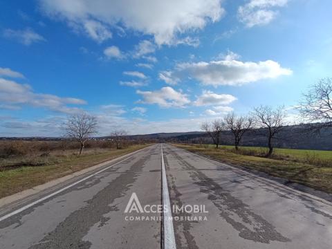 Teren agricol intravilan 50 ari! Tohatin, traseul M14!: 4