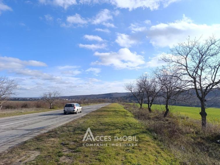 Teren agricol intravilan 50 ari! Tohatin, traseul M14!: 5