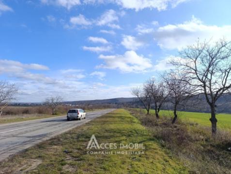 Teren agricol intravilan 50 ari! Tohatin, traseul M14!: 5