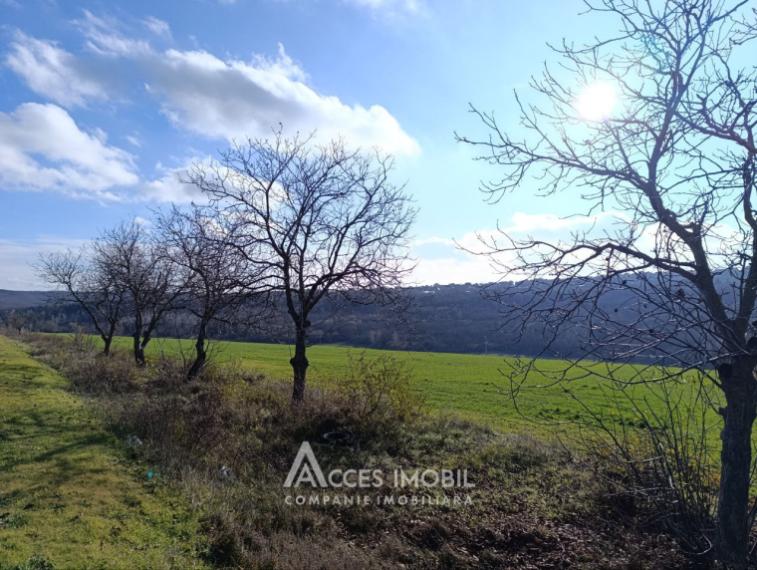 Teren agricol intravilan 50 ari! Tohatin, traseul M14!: 6