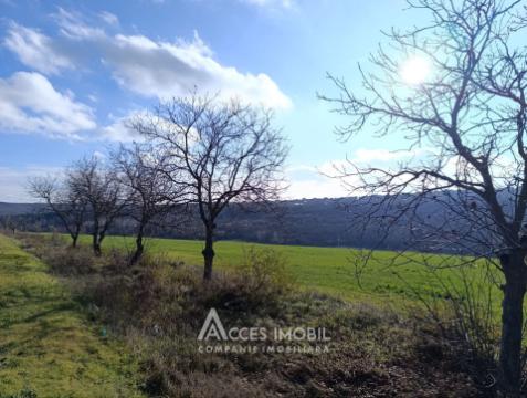 Teren agricol intravilan 50 ari! Tohatin, traseul M14!: 6