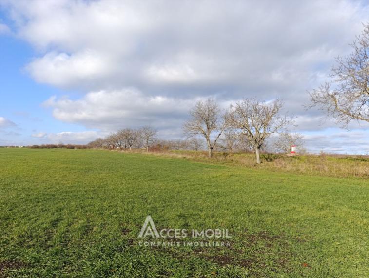 Teren agricol intravilan 50 ari! Tohatin, traseul M14!: 7