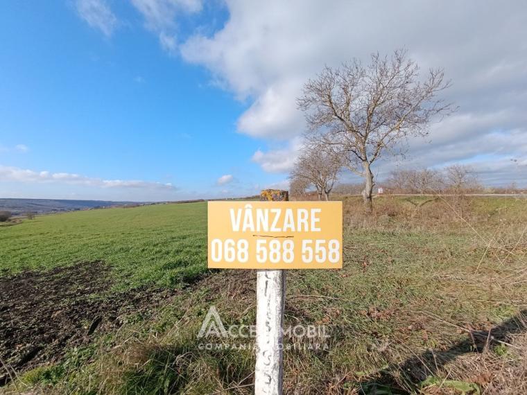 Teren agricol intravilan 50 ari! Tohatin, traseul M14!: 10