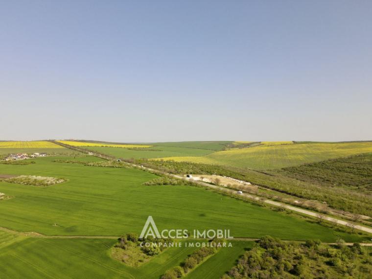 Teren agricol intravilan 50 ari! Tohatin, traseul M14!: 0