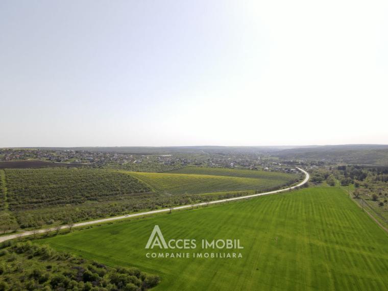 Teren agricol intravilan 50 ari! Tohatin, traseul M14!: 9