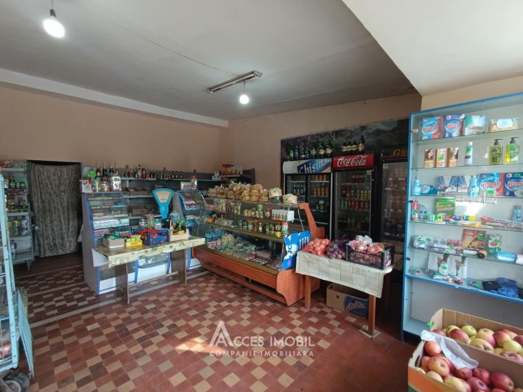 Spațiu comercial! Budești, str. Chișinăului, 121m2. Autonomă!: 1