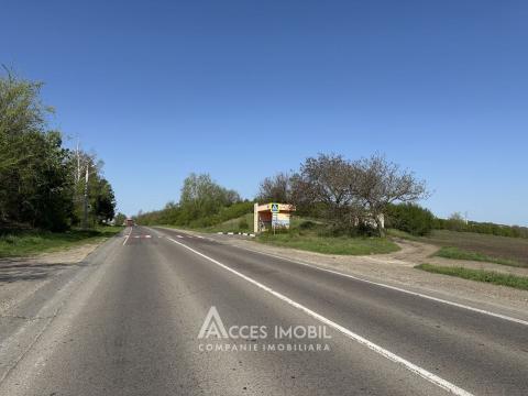 Teren agricol, M14, 79 ari. Budești!: 1