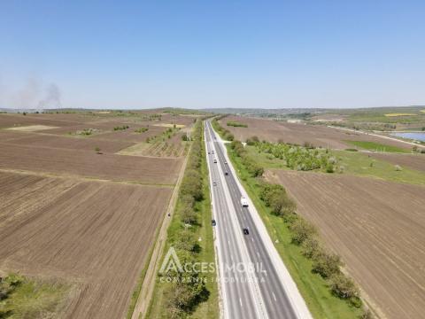 Teren 22 ari! Peresecina. Drum național M2!: 2