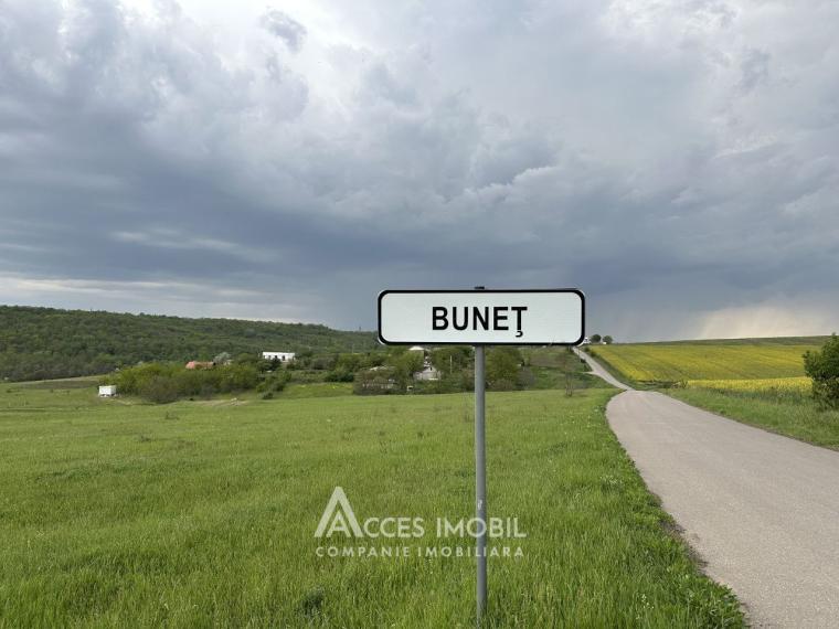 17 ares of fruit-growing land! Buneț, Pădurilor street!: 0