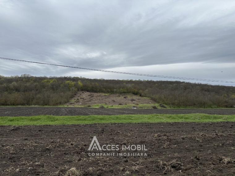 17 ares of fruit-growing land! Buneț, Pădurilor street!: 1