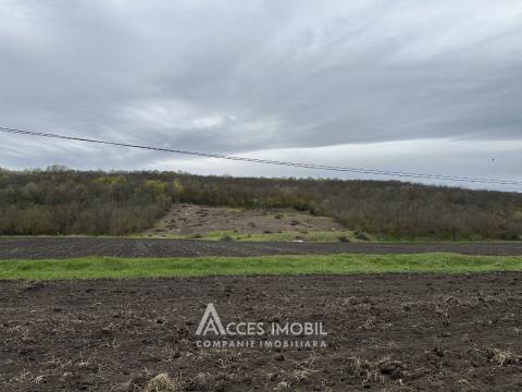 17 ares of fruit-growing land! Buneț, Pădurilor street!: 1