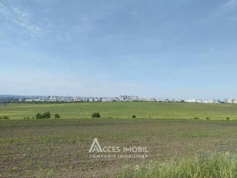 Teren Agricol 10 ari! Tohatin, I.P. Asociatul!: 0