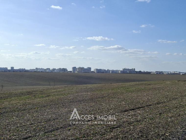 Teren Agricol 10 ari! Tohatin, I.P. Asociatul!: 1