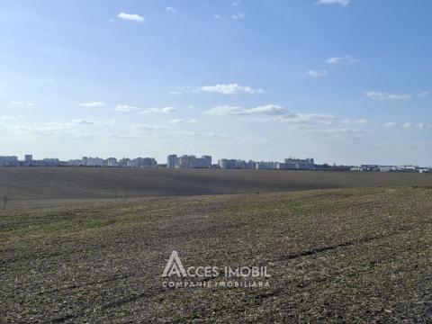 Teren Agricol 10 ari! Tohatin, I.P. Asociatul!: 1