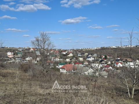 Teren Agricol 10 ari! Tohatin, I.P. Asociatul!: 2