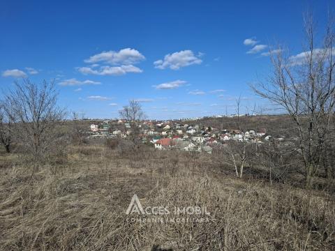 Teren Agricol 10 ari! Tohatin, I.P. Asociatul!: 3