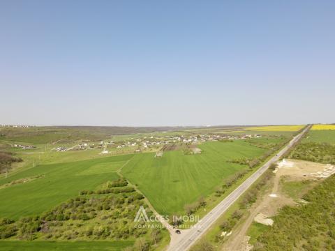 Teren agricol intravilan 30 ari! Tohatin, str. Tohatin Nou!: 1