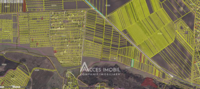 Teren agricol intravilan 30 ari! Tohatin, str. Tohatin Nou!: 2